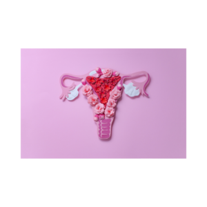 A pink, purple and red image of the female uterus, cervix and ovaries decorated with flowers. 